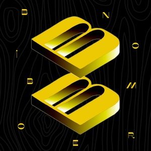 Meet your Posher, Bin